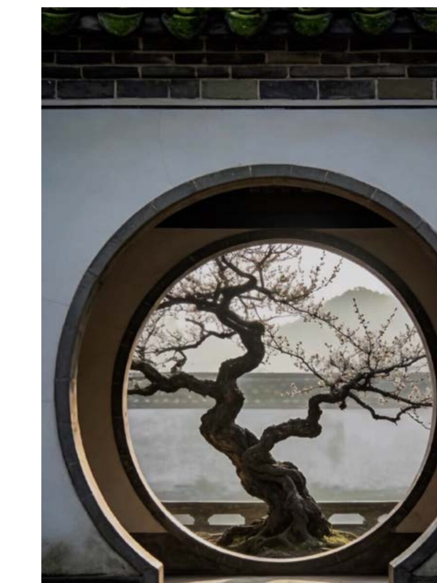 A moon-door threshold, plum blossom held inside — the room around the object.